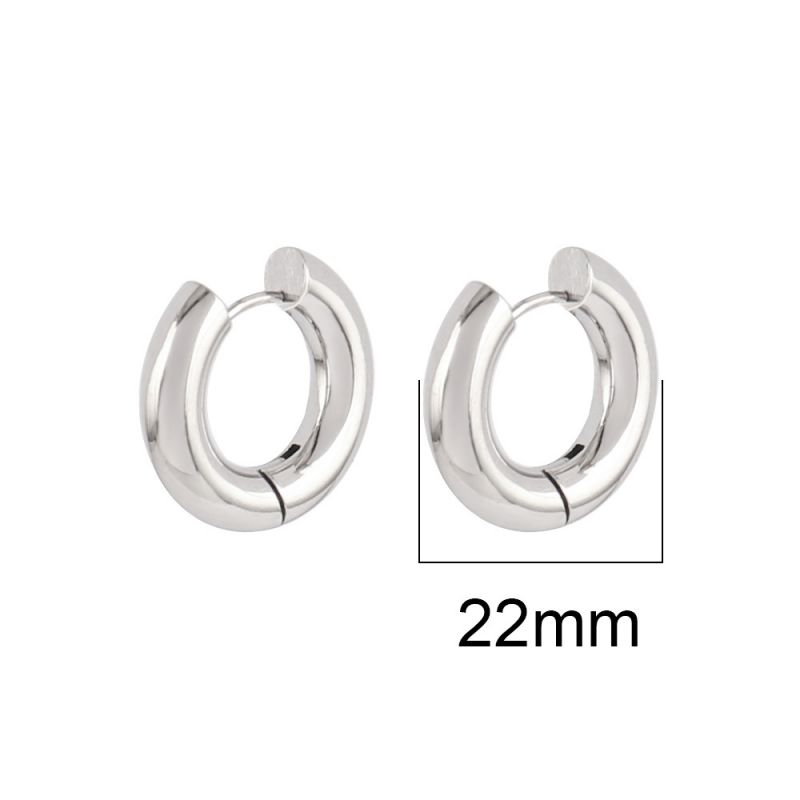 Silver 22mm Stainless Steel Round Earrings