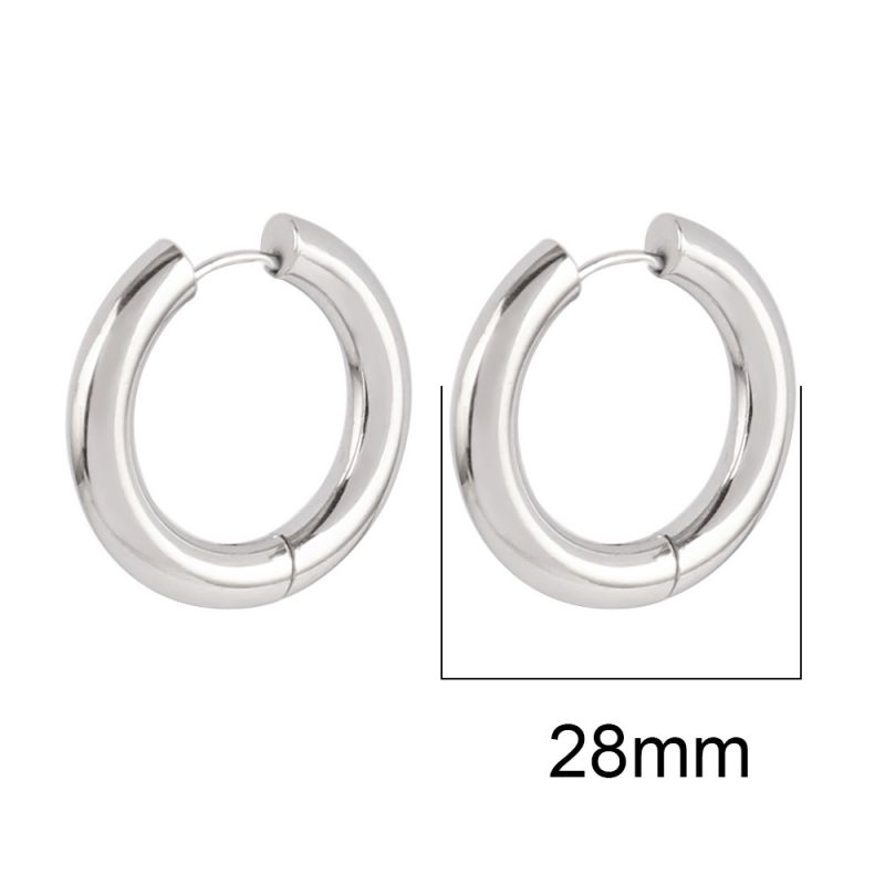 Silver 22mm Stainless Steel Round Earrings
